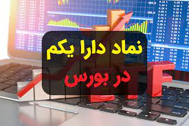 زیان ۲ هزار میلیاردی دارایکم / سهامداران دارایکم چقدر ضرر کردند؟